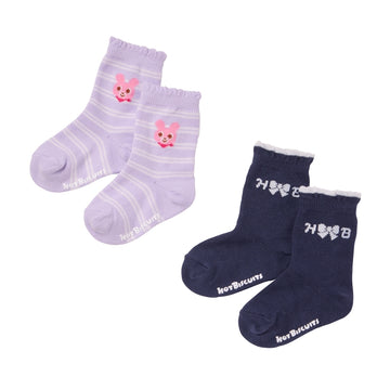 ソックスパック2足セット 紺 商品画像