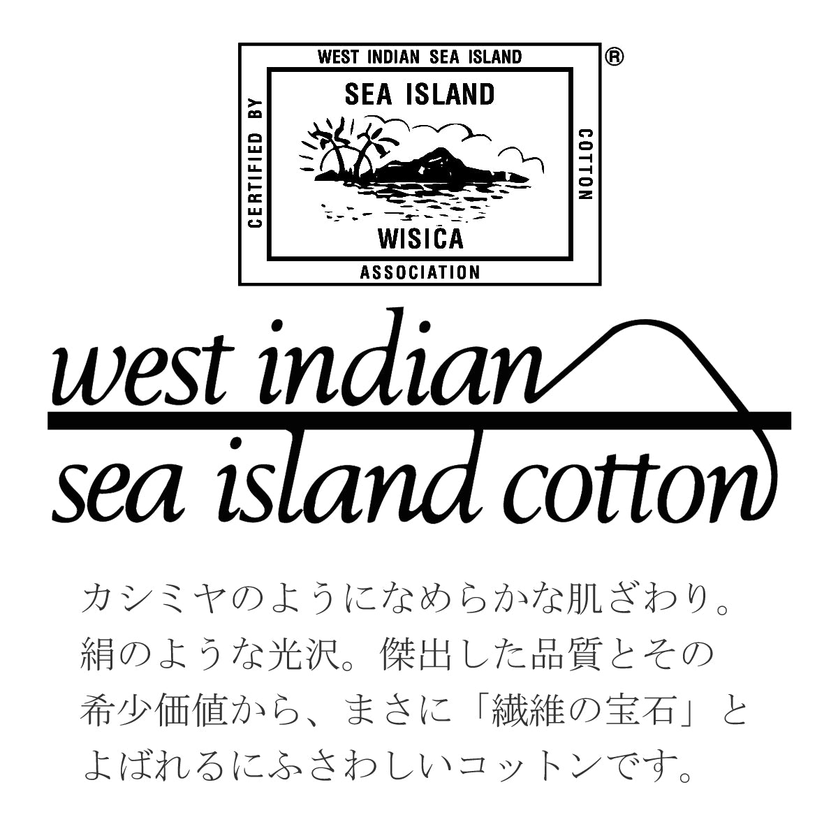 2 개의 Sea Island 면화 거즈 손수건 세트