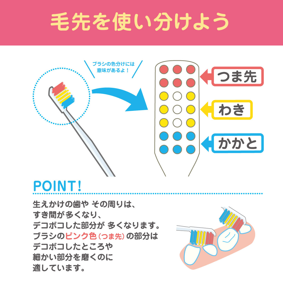 MIKI HOUSE베어 칫솔 (작은 (0-6 세)