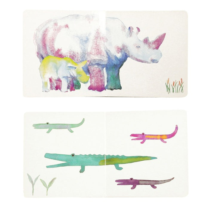 【彩虹图书】生命