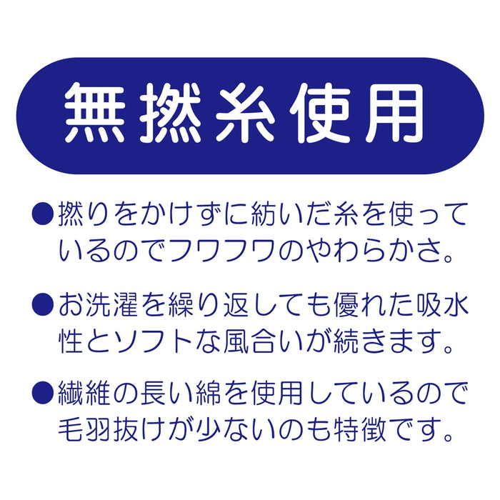 未WIST的纱线桩边界领带