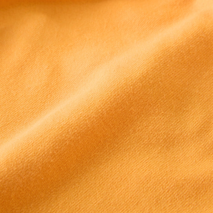 【WEB限定】ブルマ【WebLimited】