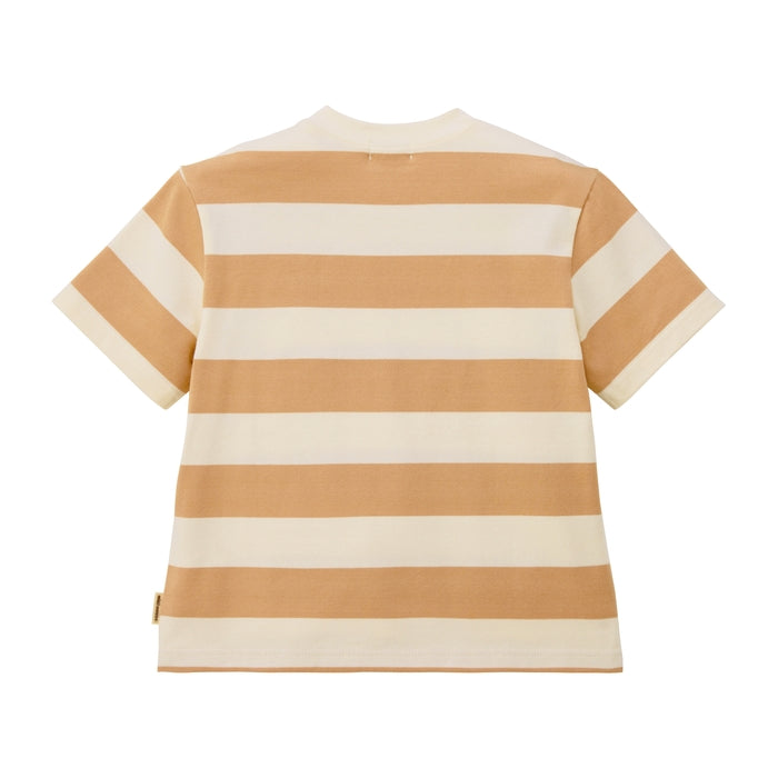 【WEB限定】ボーダー半袖Ｔシャツ【WebLimited】