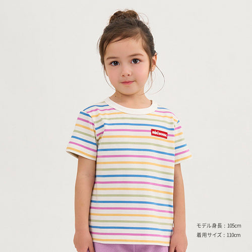 【WEB限定】ボーダー半袖Ｔシャツ【WebLimited】の商品画像