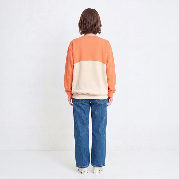 [网页限定] 培训师（成人）[网页限定]