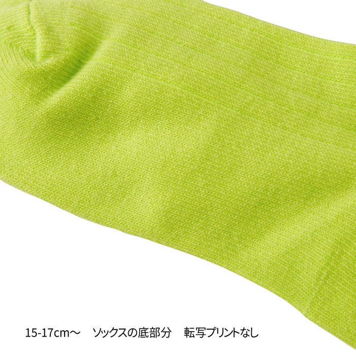 【WEB限定】ネオンカラーロゴソックス【WebLimited】 11