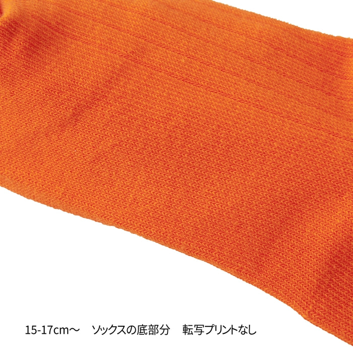 【WEB限定】ネオンカラーロゴソックス【WebLimited】 16