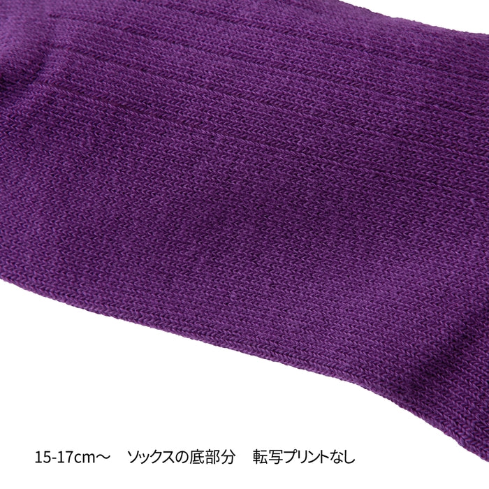 【WEB限定】ネオンカラーロゴソックス【WebLimited】 21