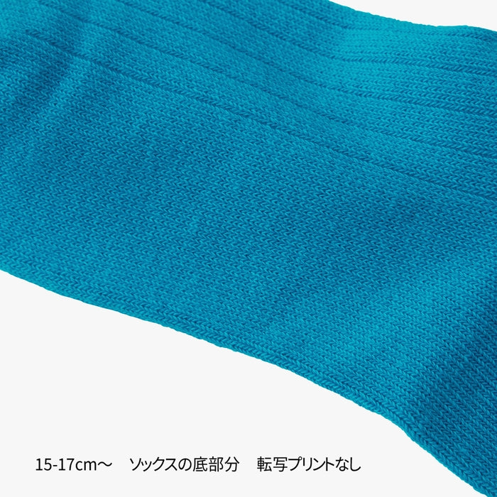 【WEB限定】ネオンカラーロゴソックス【WebLimited】 26