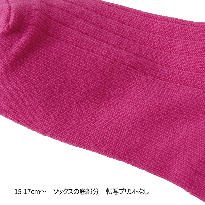 【WEB限定】ネオンカラーロゴソックス【WebLimited】 36