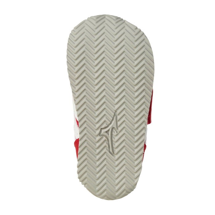 【新品2個】ペレグレイス　マヒナ　非売品おまけ付♡ 新品2個】ペレグレイス マヒナ 非売品おまけ付♡