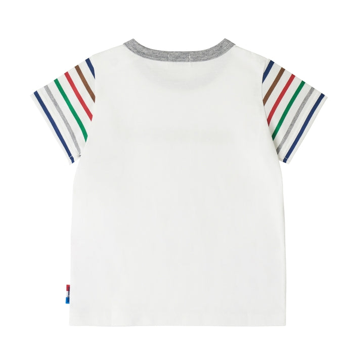 【感謝祭】半袖Ｔシャツ【配送希望日・キャンセル・返品不可】