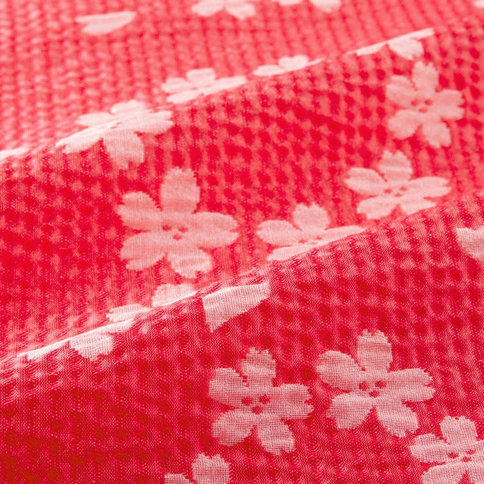 사쿠라 패턴 오비