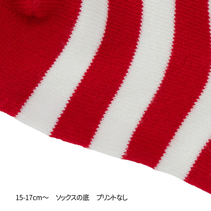 【WEB限定】ローカットボーダーソックス【WebLimited】 11