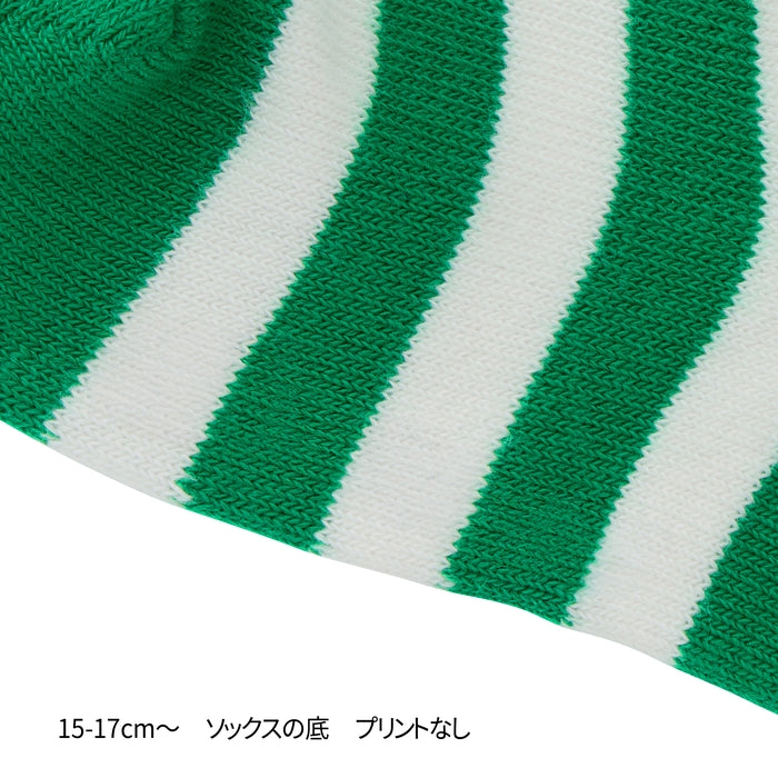 【WEB限定】ローカットボーダーソックス【WebLimited】 22