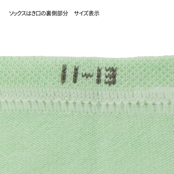 【WEB限定】ローカットボーダーソックス【WebLimited】 35