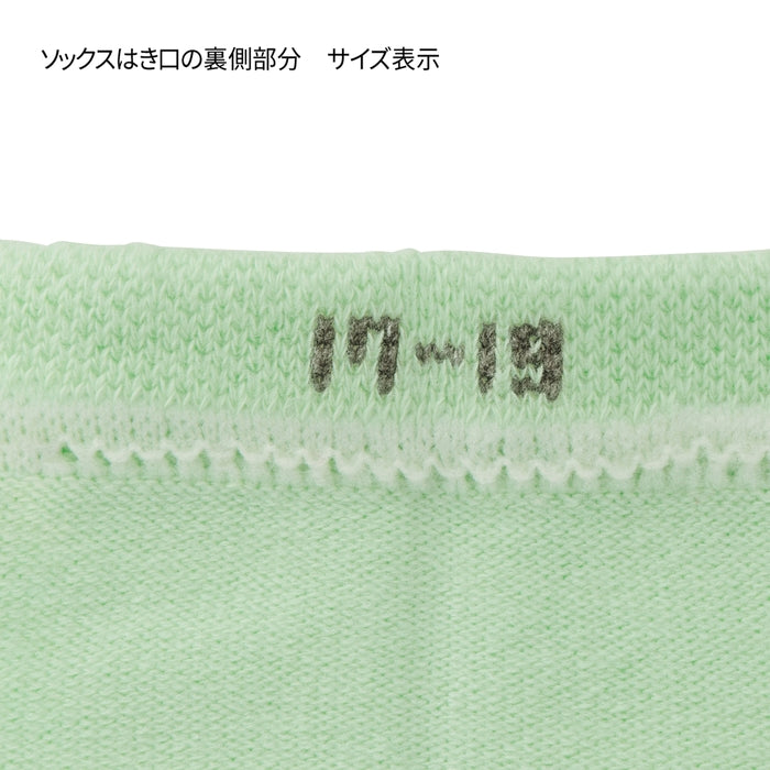 【WEB限定】ローカットボーダーソックス【WebLimited】 36
