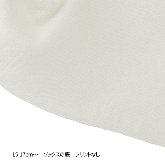 【WEB限定】ローカットソックス【WebLimited】 13