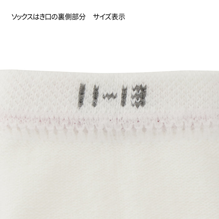【WEB限定】ローカットソックス【WebLimited】 14
