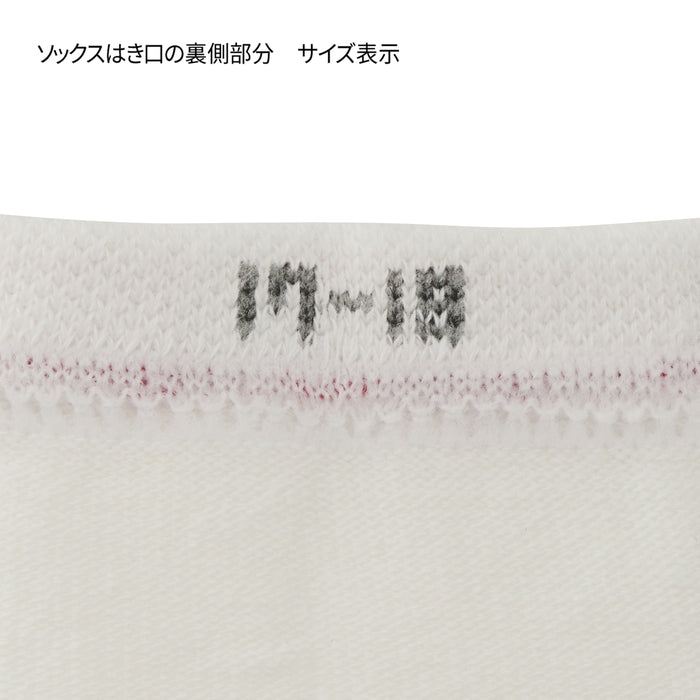 【WEB限定】ローカットソックス【WebLimited】 15