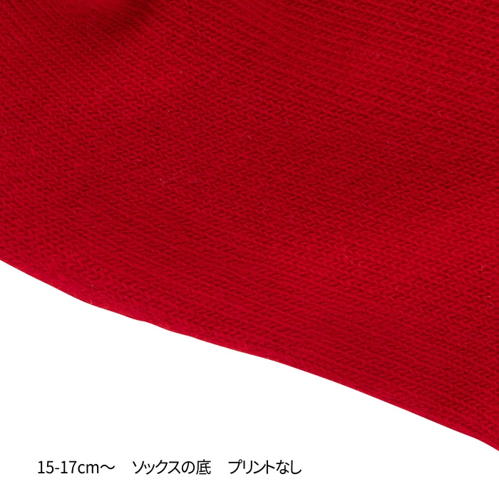 【WEB限定】ローカットソックスパック３足セット【WebLimited】