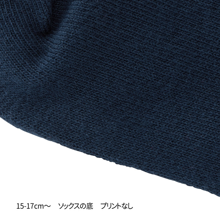 【WEB限定】ローカットソックスパック３足セット【WebLimited】