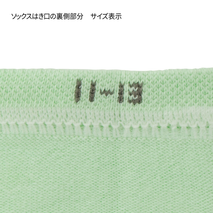 【WEB限定】ローカットソックスパック３足セット【WebLimited】