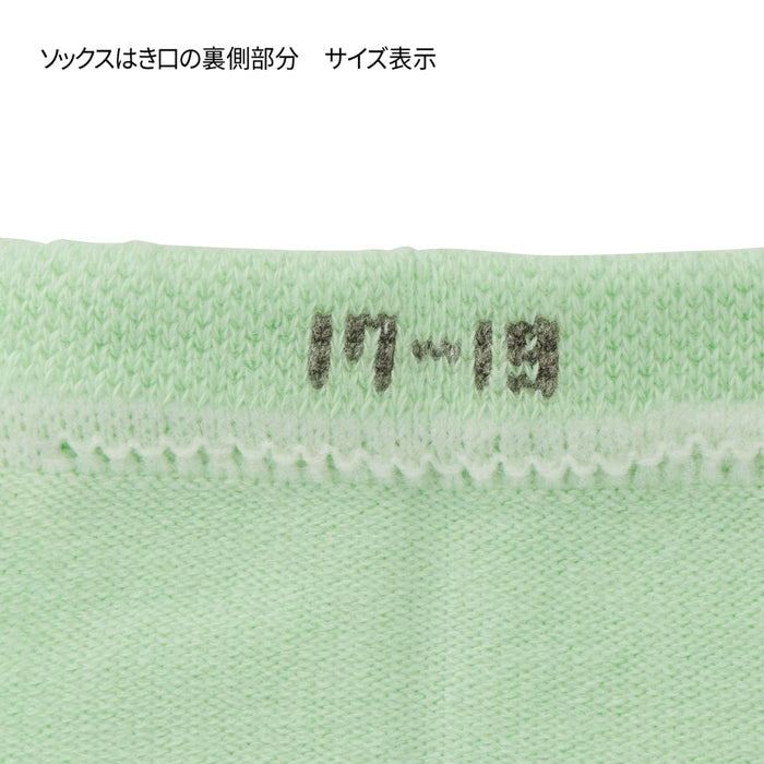 【WEB限定】ローカットソックスパック３足セット【WebLimited】