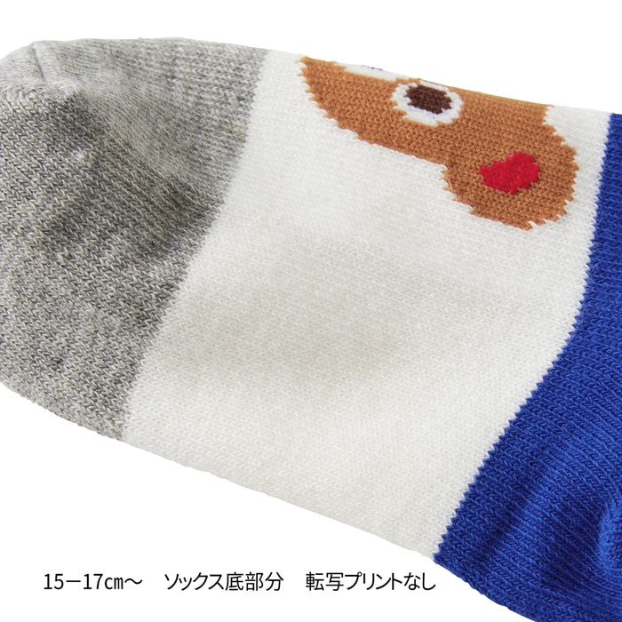 ローカットソックスパック３足セット(11cm-17cm) 32