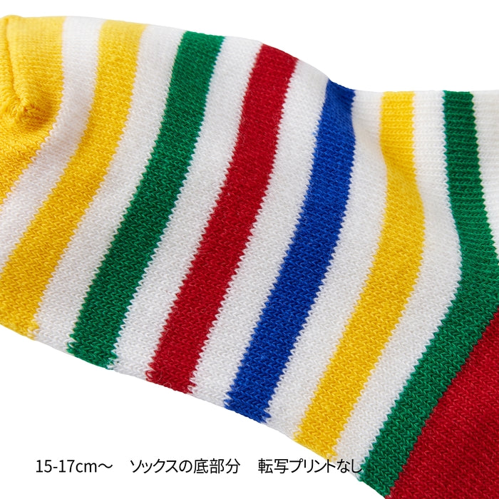 ローカットソックスパック３足セット(11cm-17cm) 43