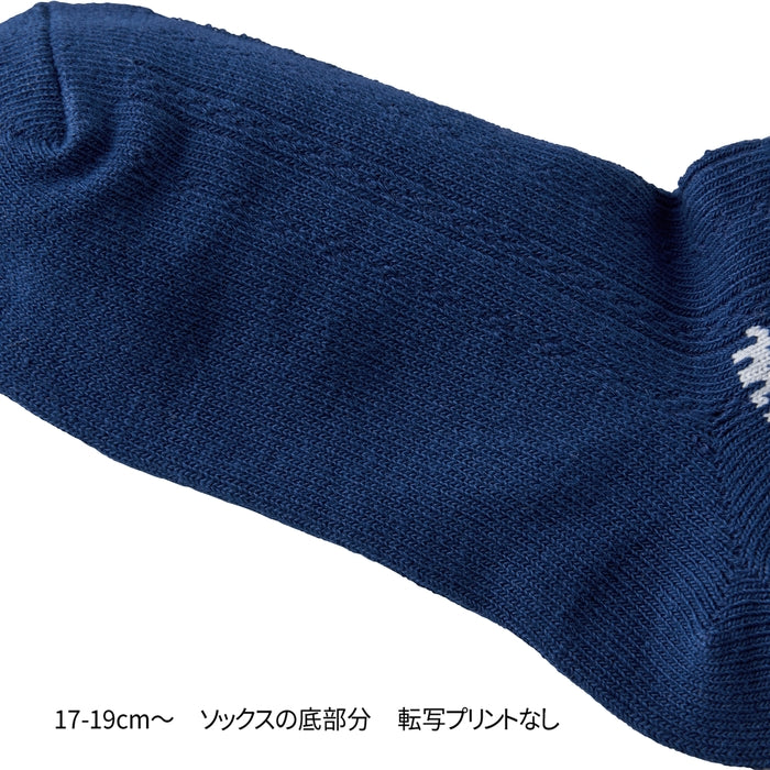 ローカットソックスパック３足セット(17cm-23cm) 16