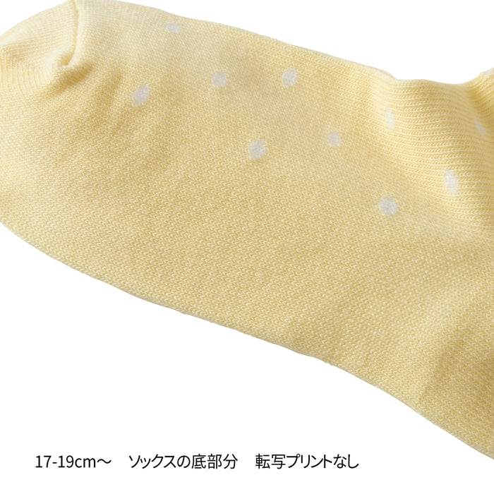 ローカットソックスパック３足セット(17cm-23cm) 18