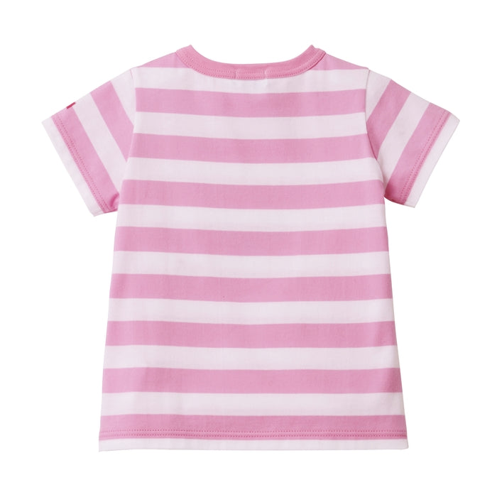 【WEB限定】ギフト　ボーダー半袖Ｔシャツセット【BOX付き】