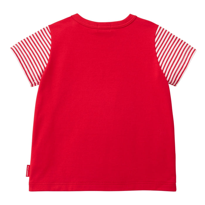 【WEB限定】春夏 プッチー半袖Tシャツセット