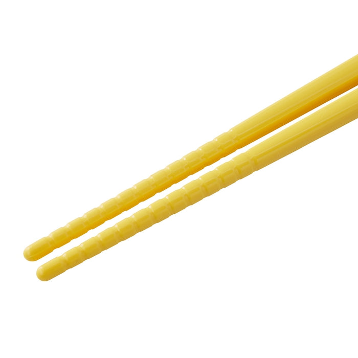 [Thanksgiving] Chopsticks set [No cancellations or returns]