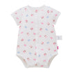 ピュアベール半袖前あきメッシュ天竺ボディシャツ