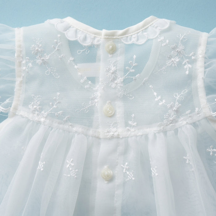 Organza 코트 [연중]