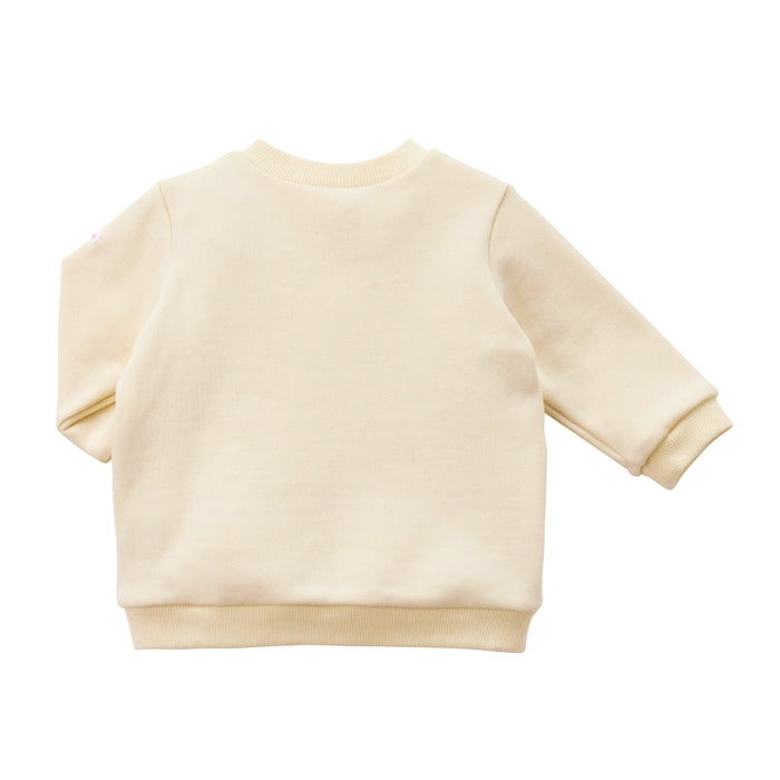 【WEB限定】ギフト トレーナーセット【BOX付き】 5