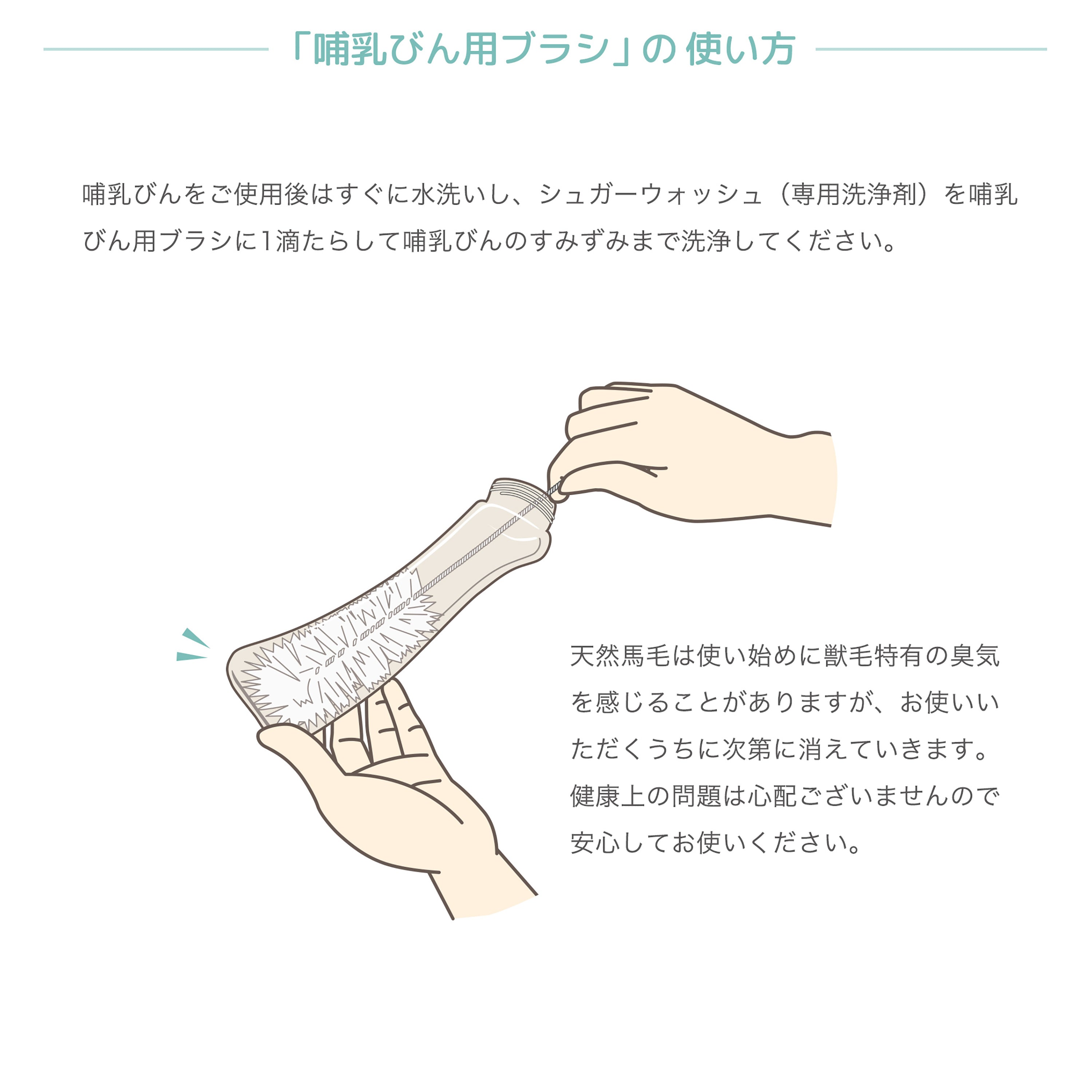 ベッタ専用ブラシセット 4