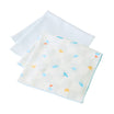 handkerchief set
