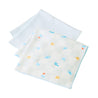 handkerchief set