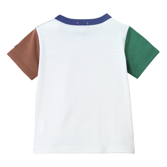 【感謝祭】半袖Ｔシャツ【配送希望日・キャンセル・返品不可】