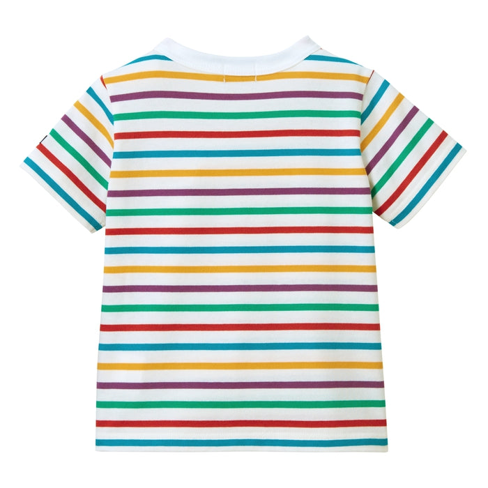 【感謝祭】ボーダー半袖Ｔシャツ【配送希望日・キャンセル・返品不可】