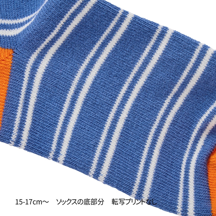 ソックスパック