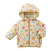reversible jumper