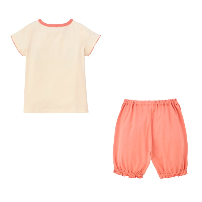 半袖Ｔシャツセット【BOX付き】