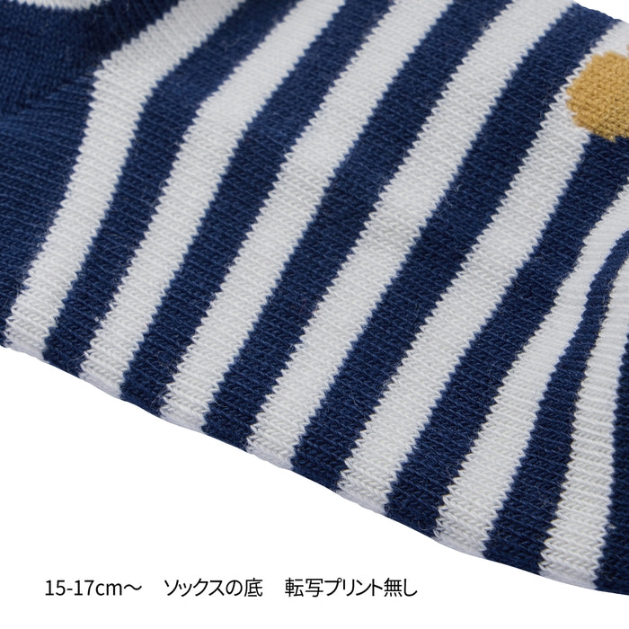 ローカットソックスパック２足セット