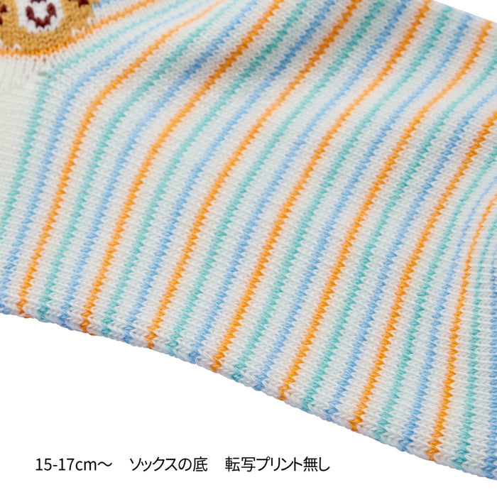 ローカットソックスパック２足セット