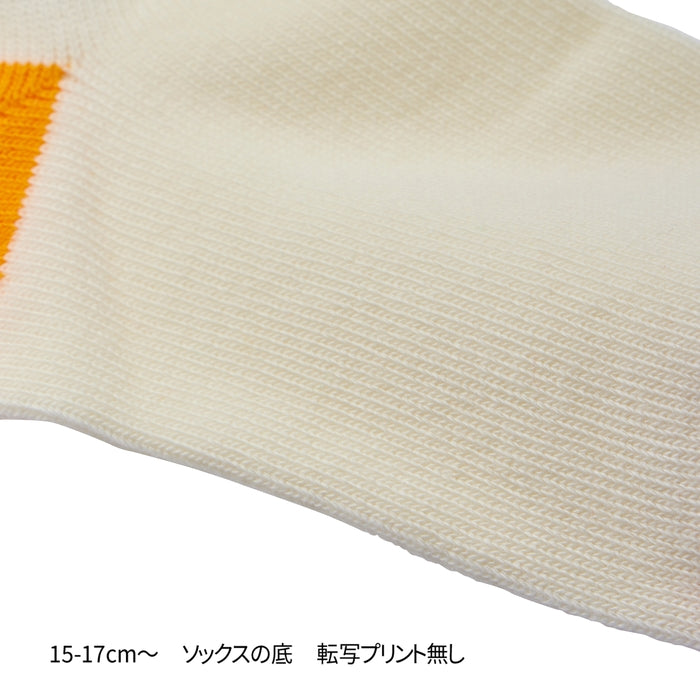 ローカットソックスパック２足セット