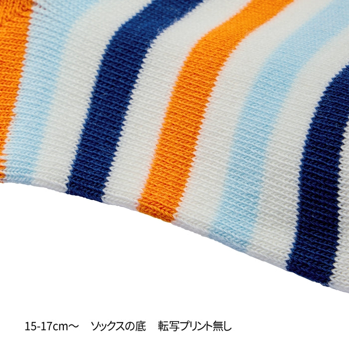 ローカットソックスパック２足セット